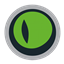 Queue Eye Lock logo