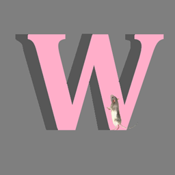 Wajken project image