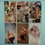 🎤 Sabrina Carpenter – Poster Set logo