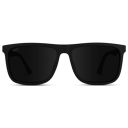 Stupid sunnys logo