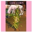 Gem Corn Harvestable By icemunmun | Chinese Translation logo
