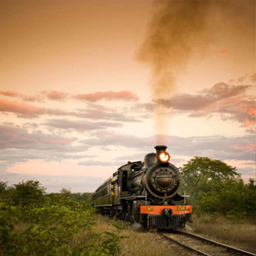 Railroads of the Golden Age logo