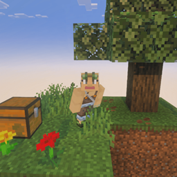 Classic Sky Block project image
