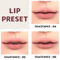 Lip Presets 04-06 logo