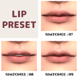 Lip Presets 07-09 logo