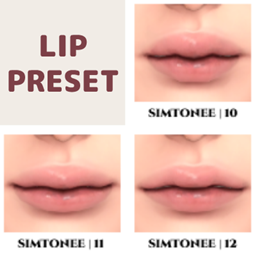 Lip Presets 10-12 logo