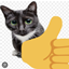 Failsafe logo