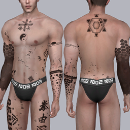 Taichi Dystopian Tattoo project image