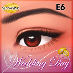 Wedding Day E6 logo