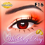 Wedding Day F16 logo