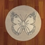 🦋 Flutter Nest Rug logo