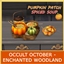 Pumpkin Patch Spiced Soup logo