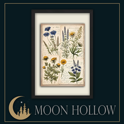 The Alchemist's Garden # 1 - MoonHollow logo