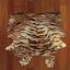 🧡 Wild Whimsy Tiger Rug logo