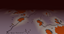 SkeletDimension logo