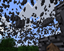 Ore Gen Anything logo