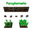 Paraphernalia logo