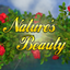Nature's Beauty logo