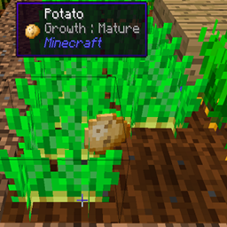 Vanilla Potatoes logo