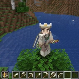 Bone Tools, Armor, and Elytra! project image
