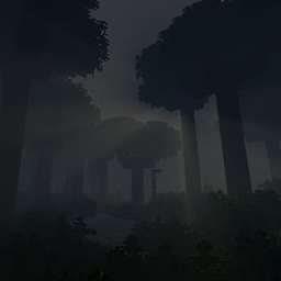 Forest of Anomalies project image
