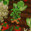 Croptopia Blocky Crops logo