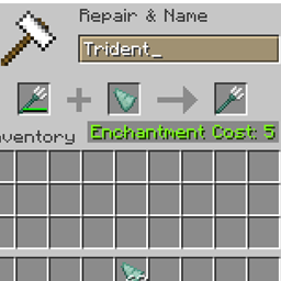 Trident Repair project image