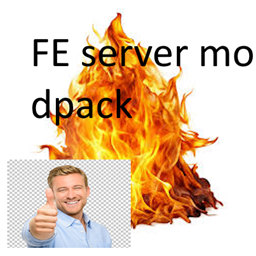 FE Server logo