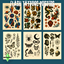 Flash Tattoos - Posters Set logo