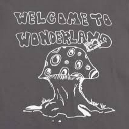 The Wonderlands Survival Multiplayer Roleplay project image