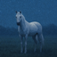 Blue Moon Equine logo