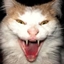 Scary Cats logo