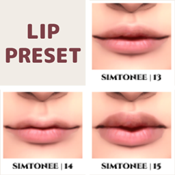 Lip Presets 13-15 logo