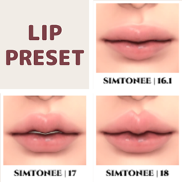 Lip Presets 16-18 logo
