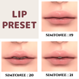 Lip Presets 19-21 logo