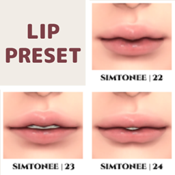 Lip Presets 22-24 logo