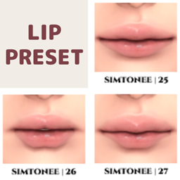 Lip Presets 25-27 logo
