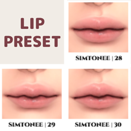 Lip Presets 28-30 logo