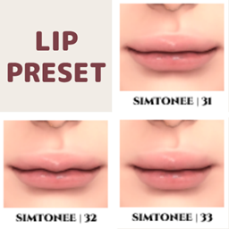 Lip Presets 31-33 logo