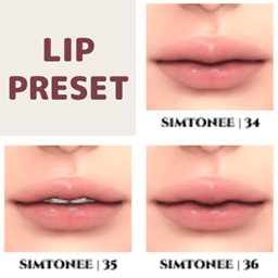 Lip Presets 34-36 logo