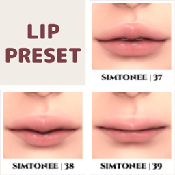 Lip Presets 37-39 logo