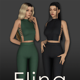 GoldFish Elina Set π project image