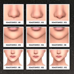 Face Preset 01-03 (nose,chin,jaw) logo