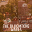 Evermore Save File Project #22 - The Bloomtons Waves (Copperdale) logo