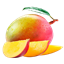 Godnota logo