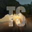 TinySeed logo