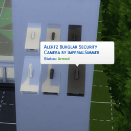 Functional CCTV Camera By Imperial_Simmer | Chinese Translation