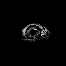 The Stalkers Descent project image