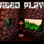 VideoPlayerFix logo
