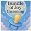 ✨ Baby on the Way Announcement by JayESims × Jaye Hinson Spanish Translation  ✨ logo
